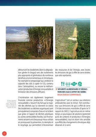 30
détournant les biodéchets (dont la dégrada-
tion génère le biogaz) vers des traitements
plus appropriés et générateurs de nombreux
bénéfices environnementaux et climatiques.
Par exemple le compostage (qui améliore la
capacité des sols à capter le CO2 contenu
dans l’atmosphère), ou encore la méthani-
sation (production d’énergie renouvelable et
limitation des émissions diffuses).
L’incinération est également largement
financée comme productrice « d’énergie
renouvelable »,faisant fi du fait que la majo-
rité des déchets qui lui donnent ce statut
(les biodéchets ou déchets organiques) sont
principalement composés d’eau et ne brûlent
que grâce à l’apport de déchets plastiques
ou autres combustibles fossiles.Les finance-
ments seraient ainsi beaucoup mieux utilisés
en promouvant la prévention, le réemploi et
le recyclage, qui permettent d’économiser
des ressources et de l’énergie, avec toutes
les émissions de gaz à effet de serre évitées
que cela représente.
ÞÞ Sécurité alimentaire et réduc-
tion des gaz à effet de serre :
deux enjeux compatibles
L’agriculture12
est un secteur aux relations
ambivalentes avec le climat : fort contribu-
teur aux émissions de gaz à effet de serre
(1/4 des émissions mondiales d’après le 5e
rapport du GIEC), l’agriculture est en même
temps un pourvoyeur de solutions (potentiel
puits de carbone et producteur d’énergies
renouvelables), tout en étant très sensible
aux effets des changements climatiques déjà
observés et à venir.
CO2
BIO
12/ Nous regroupons
ici sous le terme agri-
culture : l’agriculture (les
cultures et l’élevage), les
forêts et leur gestion, et
l’utilisation des terres.
© RobertClark
© Greenpeace
 