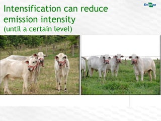COP 22 Side Event: Improving MRV for agricultural emission reductions in the livestock sector: A perspective from Brazil