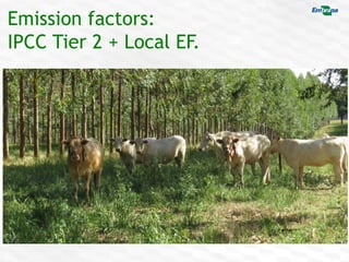 COP 22 Side Event: Improving MRV for agricultural emission reductions in the livestock sector: A perspective from Brazil