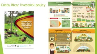 COP 22 side event: The experience of Costa Rica related to MRV and the livestock sector