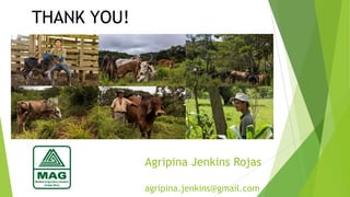 COP 22 side event: The experience of Costa Rica related to MRV and the livestock sector