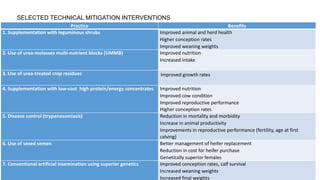 COP 22 Side Event: Improving MRV for agricultural emission reductions in the livestock sector: Ethiopian dairy sector