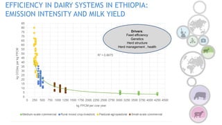 COP 22 Side Event: Improving MRV for agricultural emission reductions in the livestock sector: Ethiopian dairy sector