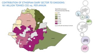 COP 22 Side Event: Improving MRV for agricultural emission reductions in the livestock sector: Ethiopian dairy sector