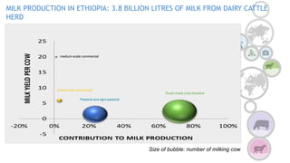 COP 22 Side Event: Improving MRV for agricultural emission reductions in the livestock sector: Ethiopian dairy sector
