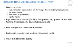 COP 22 Side Event: Improving MRV for agricultural emission reductions in the livestock sector: Ethiopian dairy sector