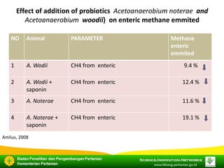 COP 22 Side Event: Indonesia's Approach in Improving its Livestock Emissions Inventory
