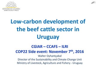 Low-carbon	development	of	
the	beef	cattle	sector	in	
Uruguay
CGIAR	– CCAFS	– ILRI
COP22	Side	event:	November	7th,	2016
Walter	Oyhantҫabal
Director	of	the	Sustainability	and	Climate	Change	Unit
Ministry	of	Livestock,	Agriculture	and	Fishery	- Uruguay
‫ُاﻟﺗﯾر‬◌
 
