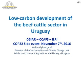 COP 22 side event: Low-carbon development of the beef cattle sector in Uruguay