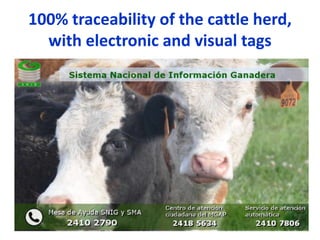 COP 22 side event: Low-carbon development of the beef cattle sector in Uruguay