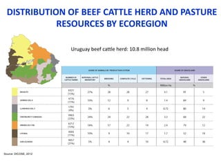 COP 22 side event: Low-carbon development of the beef cattle sector in Uruguay