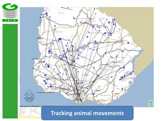 COP 22 side event: Low-carbon development of the beef cattle sector in Uruguay