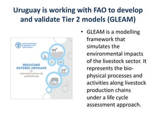 COP 22 side event: Low-carbon development of the beef cattle sector in Uruguay