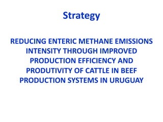 COP 22 side event: Low-carbon development of the beef cattle sector in Uruguay