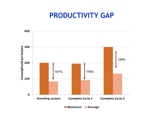 COP 22 side event: Low-carbon development of the beef cattle sector in Uruguay