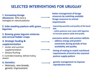 COP 22 side event: Low-carbon development of the beef cattle sector in Uruguay
