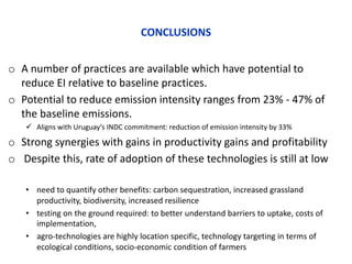 COP 22 side event: Low-carbon development of the beef cattle sector in Uruguay