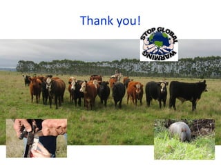 COP 22 side event: Low-carbon development of the beef cattle sector in Uruguay