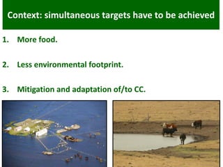 COP 22 side event: Low-carbon development of the beef cattle sector in Uruguay