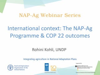 International context: The NAP-Ag
Programme & COP 22 outcomes
Rohini Kohli, UNDP
 
