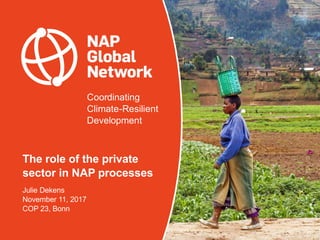 Coordinating
Climate-Resilient
Development
The role of the private
sector in NAP processes
Julie Dekens
November 11, 2017
...