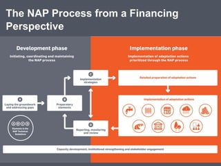 The NAP Process from a Financing
Perspective
 