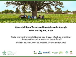 Vulnerabilities of forests and forest dependent people
Peter Minang, FTA, ICRAF
Social and environmental justice as a trigger of robust ambitious
climate action and prosperous future for all
Chilean pavilion, COP 25, Madrid, 7th December 2019
 