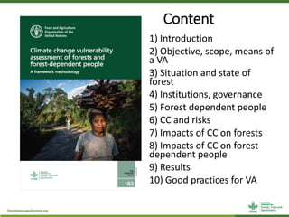 Vulnerabilities of forests and forest dependent people