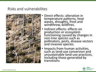 Vulnerabilities of forests and forest dependent people