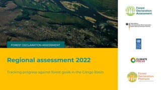 Regional assessment 2022
Tracking progress against forest goals in the Congo Basin
 