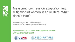 Elizabeth Bryan and Claudia Ringler
International Food Policy Research Institute
November 14, 2022 | Food and Agriculture Pavilion,
COP27, Sharm El-Sheikh
Measuring progress on adaptation and
mitigation of women in agriculture: What
does it take?
 