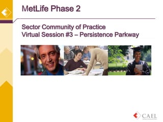 MetLife Phase 2

Sector Community of Practice
Virtual Session #3 – Persistence Parkway
 