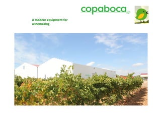 Bodegas	
  CopaBoca	
  




A	
  modern	
  equipment	
  for	
  
winemaking	
  
 