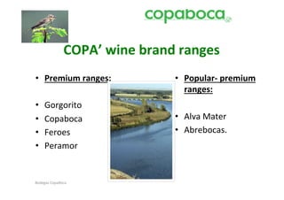 COPA’	
  wine	
  brand	
  ranges	
  
•  Premium	
  ranges:	
                      •  Popular-­‐	
  premium	
  
                                                ranges:	
  
•     Gorgorito	
  
•     Copaboca	
                             •  Alva	
  Mater	
  
•     Feroes	
                               •  Abrebocas.	
  
•     Peramor	
  


Bodegas	
  CopaBoca	
  
 