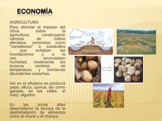 ECONOMÍA
AGRICULTURA
Para afrontar el impacto del
clima sobre la
agricultura, construyeron
campos de cultivo
elevados, conocidos como
"camellones" o sukakollos
, que evitaban las
inundaciones y, a la
vez, acumulaban
humedad, moderando los
bruscos cambios de
temperatura y brindando
abundantes cosechas.
Así en el altiplano se producía
papa, olluco, quinua, así como
ganado, en los valles, el
maíz, algodón.
En las zonas altas
desarrollaron la técnica de la
deshidratación de alimentos
como el chuno y el charqui.