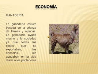 ECONOMÍA
GANADERÍA
La ganadería estuvo
basada en la crianza
de llamas y alpacas.
La ganadería ayudó
mucho a la sociedad
ya que todas las
cosas que se
exportaban, los
animales, les
ayudaban en la vida
diaria a los pobladores