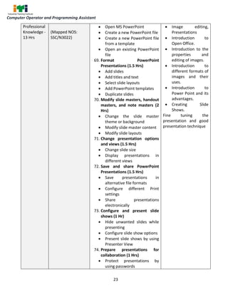 computer operater and programming asestent | PDF