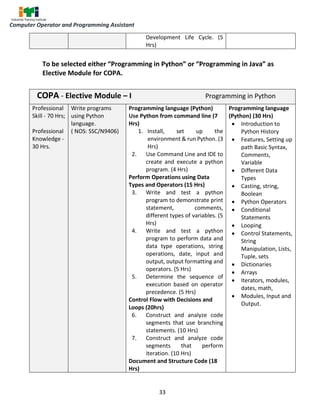 computer operater and programming asestent | PDF