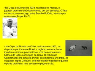 Na Copa do Mundo de 1938, realizada na França, o jogador brasileiro Leônidas marcou um gol descalço. O fato curioso ocorreu no jogo entre Brasil e Polônia, vencida por nossa seleção por 6 a 5.  - Na Copa do Mundo do Chile, realizada em 1962, na disputada partida entre Brasil e Inglaterra em cachorro invadiu o campo e proporcionou uma das cenas mais hilárias de todos os tempos da Copa. O habilidoso Garrincha foi pra cima do animal, porém tomou um drible. Já o jogador inglês Greaves, que não era tão habilidoso quanto o ponta brasileiro, teve sucesso e pegou o cão.  