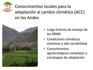 Conocimientos locales para la
adaptación al cambio climático (ACC)
en los Andes
• Larga historia de manejo de
los RRNN
• C...