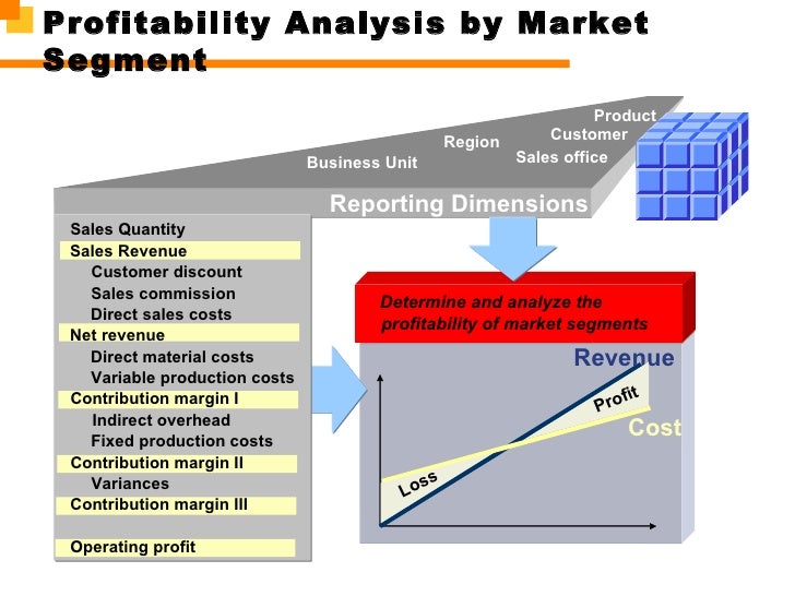 segment profitability analysis
