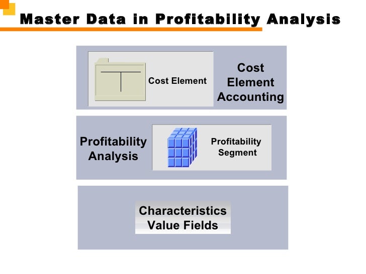 segment profitability analysis