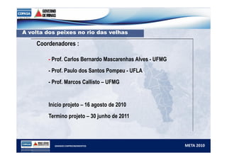 A volta dos peixes no rio das velhas 
Coordenadores : 
- Prof. Carlos Bernardo Mascarenhas Alves - UFMG 
- Prof. Paulo dos Santos Pompeu - UFLA 
- Prof. Marcos Callisto – UFMG 
Inicio projeto – 16 agosto de 2010 
Termino projeto – 30 junho de 2011 
GRANDES EMPREENDIMENTOS META 2010 
 