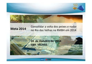 Meta 2014 
Consolidar a volta dos peixes e nadar 
no Rio das Velhas na RMBH em 2014 
20 de Outubro de 2014 
CBH VELHAS 
 