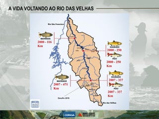 A VIDA VOLTANDO AO RIO DAS VELHAS




           2000 - 116
           Km
                                     2000 - 250
                                     Km

                                     2000 - 250
                                     Km



                                      2007 - 337
                        2007 - 471    Km
                        Km
                                     2007 - 337
                                     Km
 