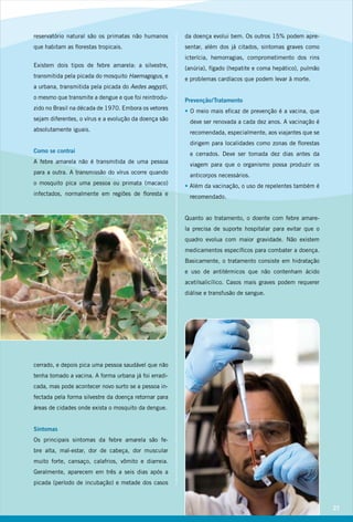 reservatório natural são os primatas não humanos       da doença evolui bem. Os outros 15% podem apre-
que habitam as florestas tropicais.                    sentar, além dos já citados, sintomas graves como
                                                       icterícia, hemorragias, comprometimento dos rins
Existem dois tipos de febre amarela: a silvestre,      (anúria), fígado (hepatite e coma hepático), pulmão
transmitida pela picada do mosquito Haemagogus, e      e problemas cardíacos que podem levar à morte.
a urbana, transmitida pela picada do Aedes aegypti,
o mesmo que transmite a dengue e que foi reintrodu-    Prevenção / Tratamento
zido no Brasil na década de 1970. Embora os vetores    • O meio mais eficaz de prevenção é a vacina, que
sejam diferentes, o vírus e a evolução da doença são    deve ser renovada a cada dez anos. A vacinação é
absolutamente iguais.                                   recomendada, especialmente, aos viajantes que se
                                                        dirigem para localidades como zonas de florestas
Como se contrai                                         e cerrados. Deve ser tomada dez dias antes da
A febre amarela não é transmitida de uma pessoa         viagem para que o organismo possa produzir os
para a outra. A transmissão do vírus ocorre quando      anticorpos necessários.
o mosquito pica uma pessoa ou primata (macaco)         • Além da vacinação, o uso de repelentes também é
infectados, normalmente em regiões de floresta e        recomendado.


                                                       Quanto ao tratamento, o doente com febre amare-
                                                       la precisa de suporte hospitalar para evitar que o
                                                       quadro evolua com maior gravidade. Não existem
                                                       medicamentos específicos para combater a doença.
                                                       Basicamente, o tratamento consiste em hidratação
                                                       e uso de antitérmicos que não contenham ácido
                                                       acetilsalicílico. Casos mais graves podem requerer
                                                       diálise e transfusão de sangue.




cerrado, e depois pica uma pessoa saudável que não
tenha tomado a vacina. A forma urbana já foi erradi-
cada, mas pode acontecer novo surto se a pessoa in-
fectada pela forma silvestre da doença retornar para
áreas de cidades onde exista o mosquito da dengue.


Sintomas
Os principais sintomas da febre amarela são fe-
bre alta, mal-estar, dor de cabeça, dor muscular
muito forte, cansaço, calafrios, vômito e diarreia.
Geralmente, aparecem em três a seis dias após a
picada (período de incubação) e metade dos casos



                                                                                                             21
 