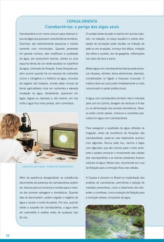 COPASA ORIENTA
                            Cianobactérias: o perigo das algas azuis
     Cianobactéria é um nome comum para diversos ti-       O contato direto da pele no banho em duchas natu-
     pos de algas que possuem características similares.   rais, na natação, no esqui aquático e outras ativi-
     Sozinhas, são extremamente pequenas e visíveis        dades de recreação pode resultar na irritação da
     somente com microscópio. Quando presentes             pele ou em erupções, inchaço dos lábios, irritação
     em grande número, elas modificam a qualidade          dos olhos e ouvidos, dor de garganta, inflamações
     da água, por produzirem toxinas, odores ou uma        nos seios da face e asma.
     espuma densa de cor verde-azulada na superfície
     da água, chamada de floração. Essas florações po-     Beber água com cianobactérias tóxicas pode provo-
     dem ocorrer quando há um excesso de nutrientes        car náuseas, vômitos, dores abdominais, diarreias,
     (como o nitrogênio e o fósforo) na água, oriundos     complicações no fígado e fraqueza muscular. O
     de esgotos não tratados, arraste pelas chuvas de      médico deve ser procurado imediatamente e o fato
     terras agricultáveis ricas em nutrientes e elevada    comunicado à saúde pública local.
     insolação na água. Geralmente, aparecem em
     lagos, lagoas ou represas e, até mesmo, em rios       A água com cianobactéria também não é indicada
     onde a água fica mais parada, sem correnteza.         para uso na cozinha, lavagem de verduras e frutas
                                                           ou na alimentação dos animais domésticos. Deve-
                                                           se evitar comer peixes, mariscos e camarões pes-
                                                           cados em água com cianobactérias.


                                                           Para assegurar a qualidade da água utilizada na
                                                           irrigação, antes da ocorrência de florações das
                                                           cianobactérias, pode-se usar tratamento químico
                                                           com algicidas. Nunca trate rios, riachos e lagos
                                                           com algicidas, que são nocivos para o meio ambi-
                                                           ente e podem provocar o rompimento das células
                                                           das cianobactérias e as toxinas existentes ficarem
                                                           solúveis na água. Nesse caso, recomenda-se o uso
       Laboratório da Copasa - Análise de cianobactérias
                                                           da flotação para a remoção física das células.


     Além da aparência desagradável, as substâncias        A Copasa é pioneira no Brasil na implantação das
     decorrentes da presença de cianobactérias podem       análises de cianotoxinas, permitindo a adoção de
     ser tóxicas para os humanos e mortais para a maio-    medidas preventivas, como o tratamento dos eflu-
     ria dos animais selvagens e domésticos. Quando        entes, e corretivas, como a adoção da flotação para
     elas se decompõem, podem esgotar o oxigênio da        a remoção desses compostos da água.
     água e causar a morte de peixes. Por isso, quando
     existe a suspeita de cianobactérias, a água deve
     ser submetida à análise antes de qualquer tipo
     de uso.




22
 