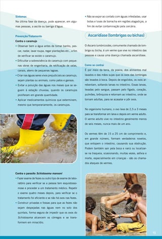 Sintomas
Na última fase da doença, pode aparecer, em algu-
mas pessoas, a ascite ou barriga d’água.
Prevenção/Tratamento
Contra o caramujo
• Observar bem a água antes de tomar banho, pes-
car, nadar, lavar roupa, regar plantações etc., a fim
de verificar se existe o caramujo.
• Dificultar a sobrevivência do caramujo com peque-
nas obras de engenharia, de retificação de valas,
canais, aterro de pequenas lagoas.
• Criar nas águas seres vivos prejudiciais ao caramujo,
sejam plantas ou animais, como patos e gansos.
• Evitar a poluição das águas nos meses que se se-
guem à estação chuvosa, quando os caramujos
proliferam em grande quantidade.
• Aplicar medicamentos químicos que exterminem,
mesmo que temporariamente, os caramujos.
Contra o parasito Schistosoma mansoni
• Fazer exame de fezes ou outro tipo de exame de labo-
ratório para verificar se a pessoa tem esquistosso-
mose e proceder a um tratamento médico. Repetir
o exame quatro meses depois, para verificar se o
tratamento foi eficiente e se não há ovos nas fezes.
• Construir privadas e fossas para que as fezes não
sejam despejadas nas águas nem no solo dos
quintais, forma segura de impedir que os ovos do
Schistosoma alcancem os córregos e se trans-
formem em miracídio.
• Não se expor ao contato com águas infestadas; usar
botas e luvas de borracha em regiões alagadiças, a
fim de evitar contaminação pela cercária.
Ascaridíase (lombrigas ou bichas)
O Ascaris lumbricoides, comumente chamado de lom-
briga ou bicha, é um verme que vive no intestino das
pessoas e causa uma doença chamada ascaridíase.
Como se contrai
É por meio da terra, da poeira, dos alimentos mal
lavados e das mãos sujas que os ovos das lombrigas
são levados à boca. Depois de engolidos, os ovos ar-
rebentam, soltando larvas no intestino. Essas larvas,
levadas pelo sangue, passam pelo fígado, coração,
pulmões, brônquios e retornam ao intestino, onde se
tornam adultas, para se acasalar e pôr ovos.
No organismo humano, o ovo leva de 2,5 a 3 meses
para se transformar em larva e depois em verme adulto.
O verme adulto vive no intestino geralmente menos
de seis meses, nunca mais de um ano.
Os vermes têm de 15 a 25 cm de comprimento e,
em grande número, formam verdadeiros novelos,
que entopem o intestino, causando sua obstrução.
Podem também sair pela boca e nariz ou localizar-
se na traqueia, ocasionando, muitas vezes, asfixia e
morte, especialmente em crianças - são os chama-
dos ataques de vermes.
15
 
