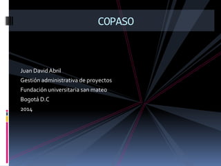 Juan DavidAbril
Gestión administrativa de proyectos
Fundación universitaria san mateo
Bogotá D.C
2014
COPASO
 