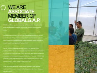 DKG Group is focusing to meet increasingly high sustainability standards and to
enable its stakeholders to positively influence their impact on environment and
society.
We are associate member of GLOBALG.A.P® (the global partnership for safe and
sustainable agriculture), we commit to respond to its recommendations by providing
advice to greenhouse growers/suppliers to apply sustainable growing practices and
compliance with Good Agricultural Practices (GAP).
Also Mr. Christos D. Katsanos (Executive Director of the Group) is Official
GLOBALGAP train-the public trainer and in cooperation with the Training Department
of TUV HELLAS (TUV NORD) S.A. & IRTC, DKG Group offers training programs for
corporations and individuals in the areas of GLOBALG.A.P. protocol, AGRO 2-1 & 2-
2 standard (Greek certification scheme for agriculture enterprises) and ISO 22000
standard (HACCP- Hazard Analysis Critical Control Point).
Finally, the Group's department AskMe officially translates in Greek language
GLOBALGAP® documents related to Fruit and Vegetables Certification (Integrated
Farm Assurance).
WEARE
ASSOCIATE
MEMBEROF
GLOBALG.A.P.
 